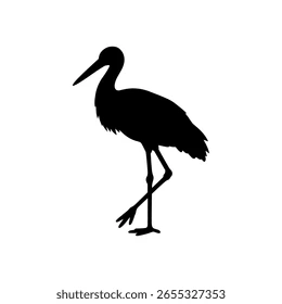 חסידה הפקות